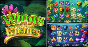 Wings of Riches